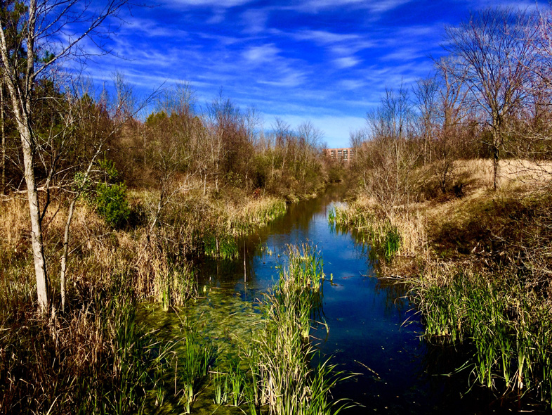 'Blue Water Road' by Jonny Olsen