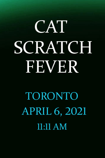 'Cat Scratch Fever' by Jonny Olsen