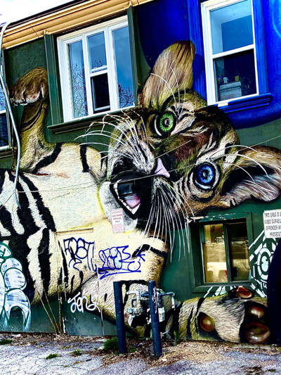 Cat Scratch Fever' by Jonny Olsen