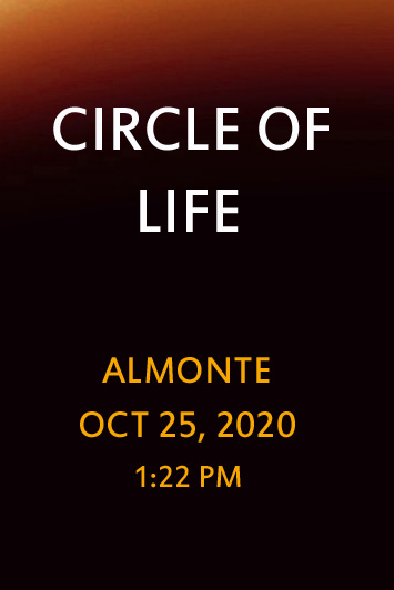 'Circle of Life' by Jonny Olsen