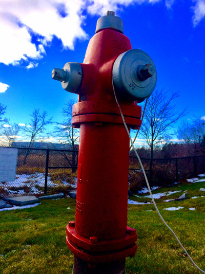 'Monolithic Dog Phone' by Jonny Olsen