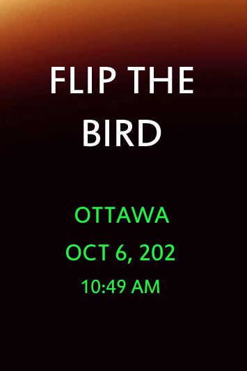 'Flip th Bird' by Jonny Olsen