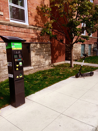 'Flip th Bird' by Jonny Olsen