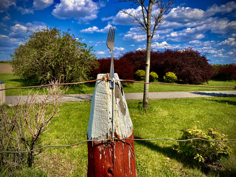 'Fork in the Road' by Jonny Olsen