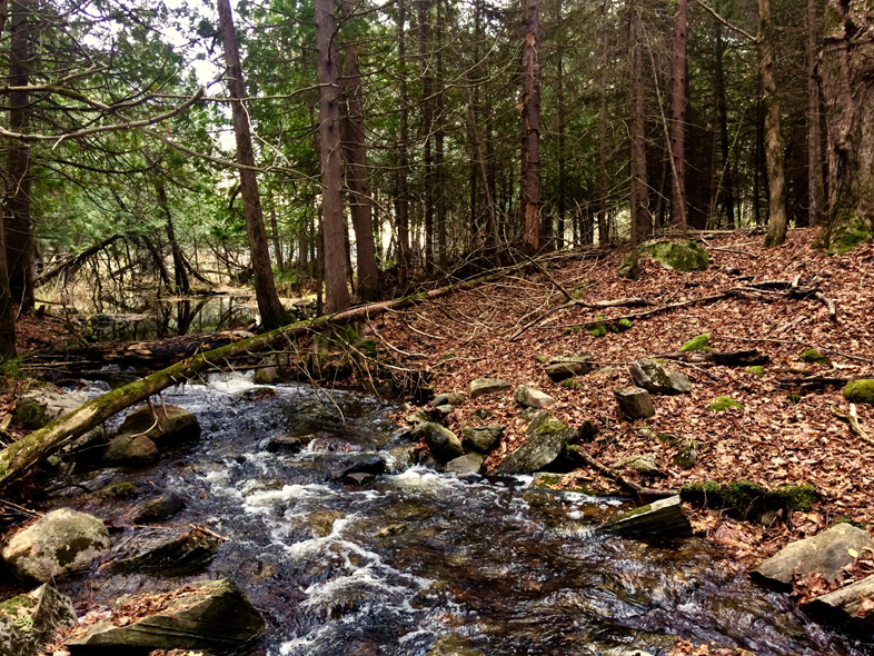 'Good in Everthing' by Jonny Olsen