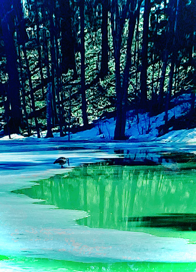 'Green Peace' by Jonny Olsen