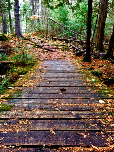 'Into the Mystic' by Jonny Olsen