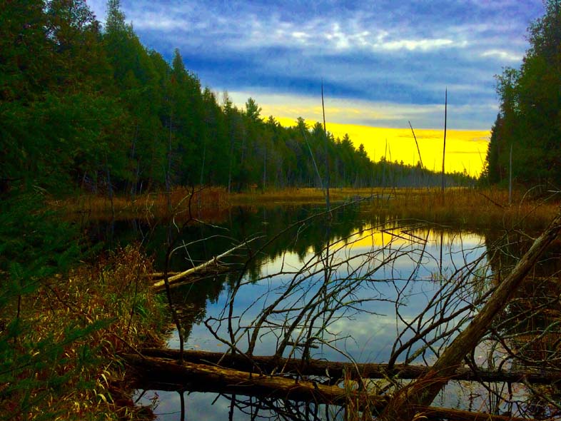 'Mirrored Dusk' by Jonny Olsen