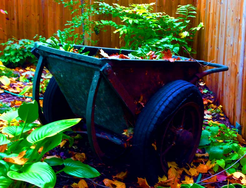 'New Life' by Jonny Olsen