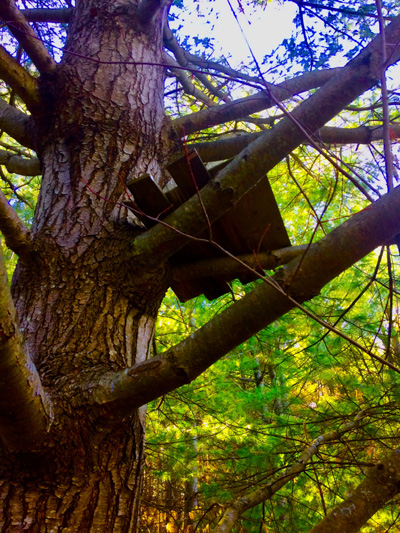 'Our Secret Hideout' by Jonny Olsen