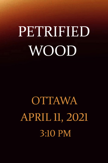 Rise Above' by Jonny Olsen