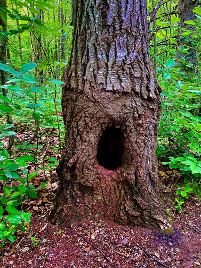 Portal into the Abyss' by Jonny Olsen