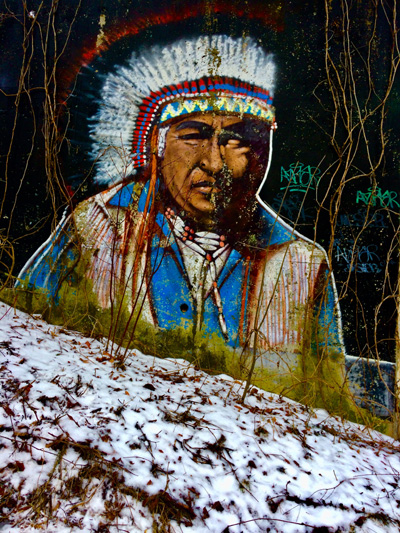 'Regrowing our Roots' by Jonny Olsen