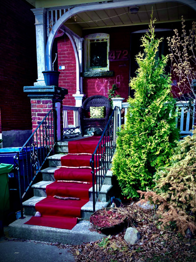 'Royal Treatment' by Jonny Olsen