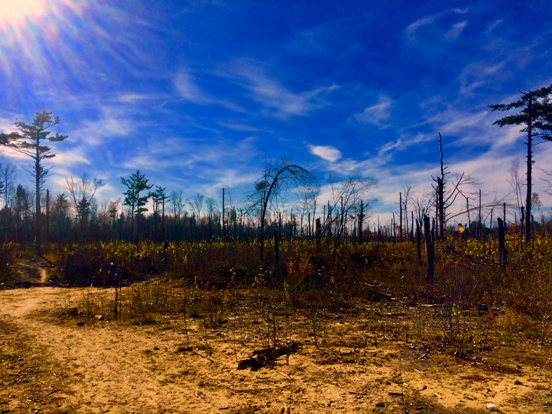 'Still Shining' by Jonny Olsen