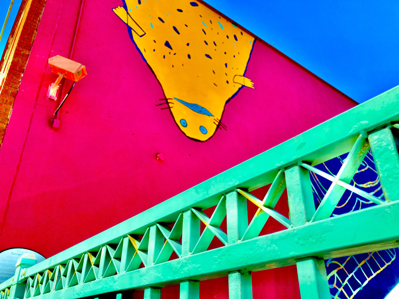 'Topsy Turvy' by Jonny Olsen