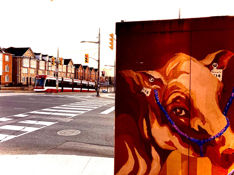 'Moooooove over. Train's Coming' by Jonny Olsen