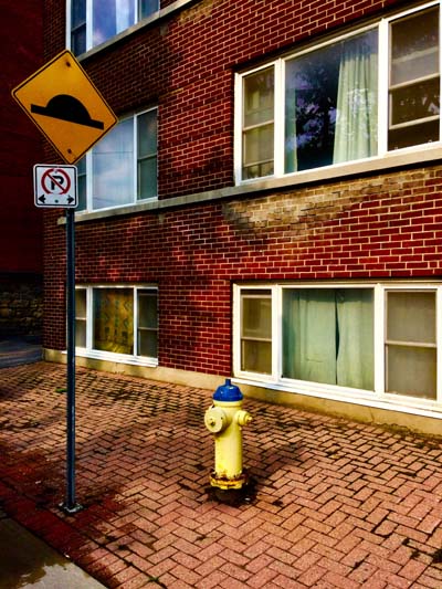 'Turtle Water Hydrant/ No Parking' by Jonny Olsen
