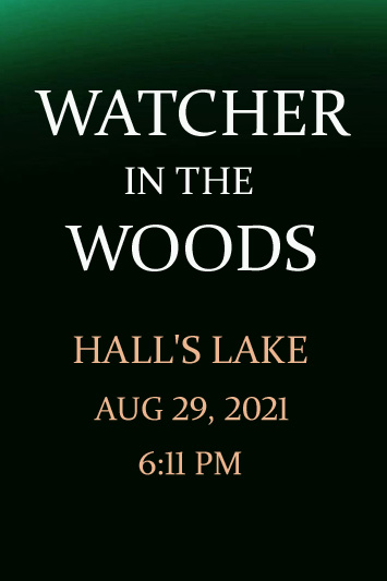 Cat Scratch Fever' by Jonny Olsen