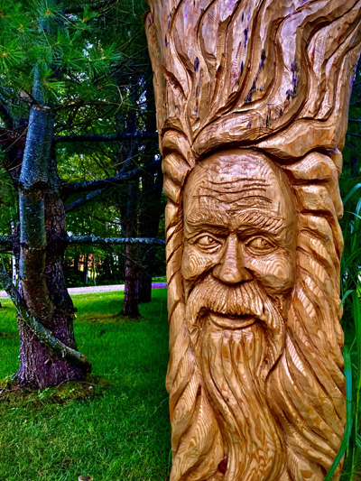 'Watcher in the Woods' by Jonny Olsen